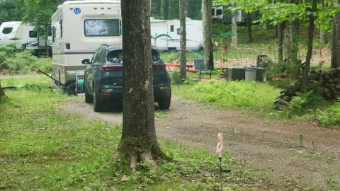 20/30/50 Amp Standard Full Hook-Up Pull-Through RV Site — image 1 of 1
