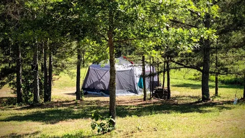 Drive up Primitive Tent Site — image 11 of 11