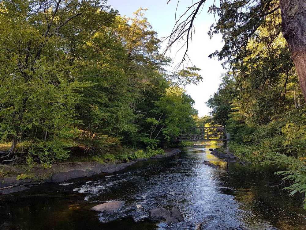 Black River Wilderness Park