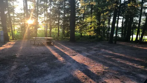 Lakeview Campsite — image 1 of 2