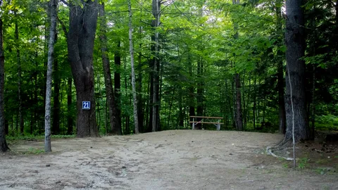 Standard Back-In RV Site — image 2 of 4