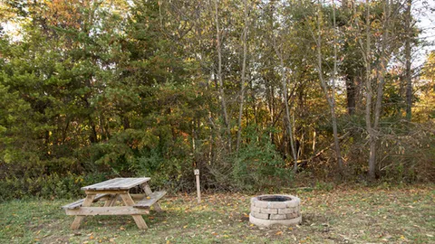 Primitive Site — image 1 of 1