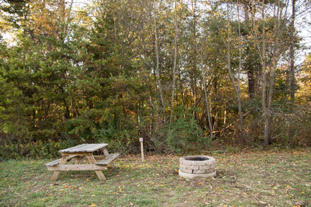 Primitive Site