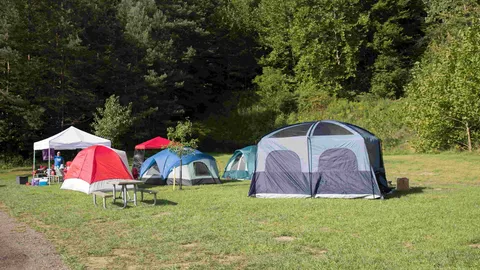 Electric Tent Site (400's) — image 5 of 5