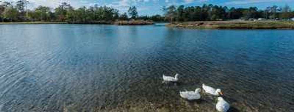Park Image 8