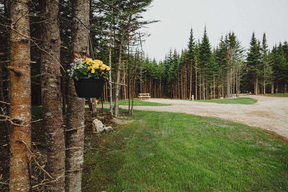 Park Image 9