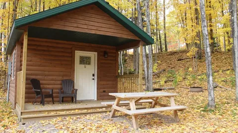 Rustic Cabin — image 1 of 5