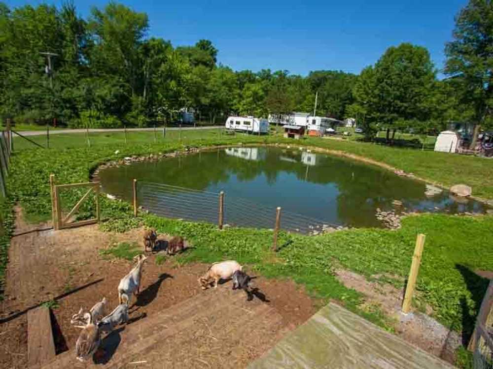 Sun Retreats Pleasant Acres Farm - Photo 2