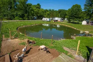 Sun Retreats Pleasant Acres Farm – photo 2