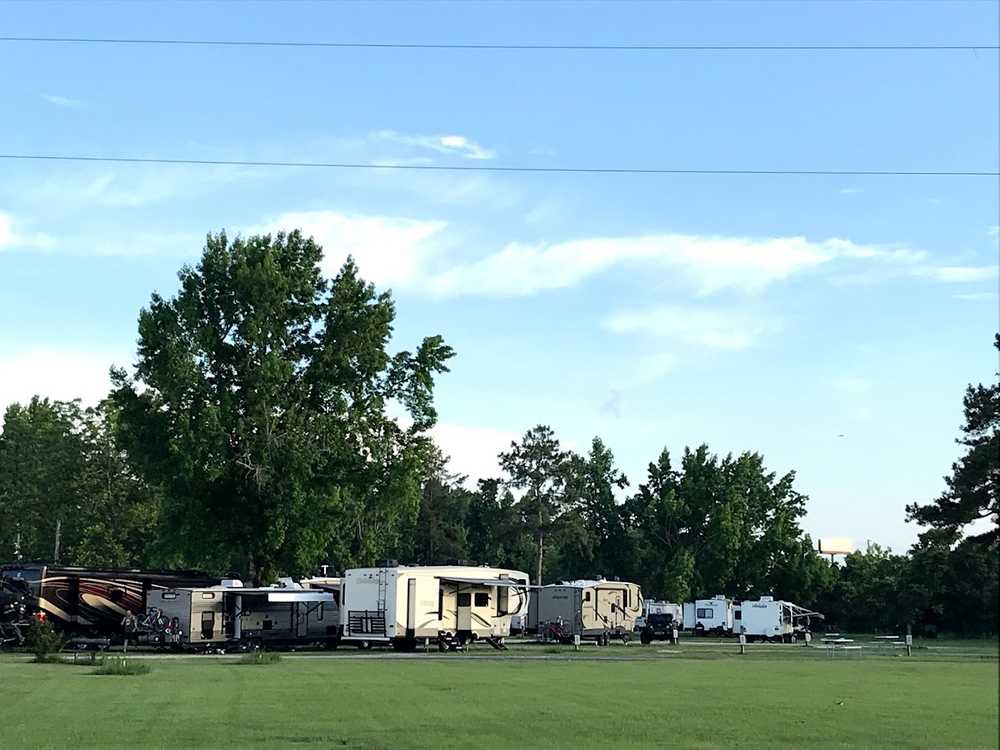 Peach Queen, Jemison, Alabama - Photo 4