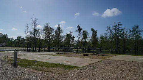 Premium Triple Site (BL21-23) — image 1 of 1