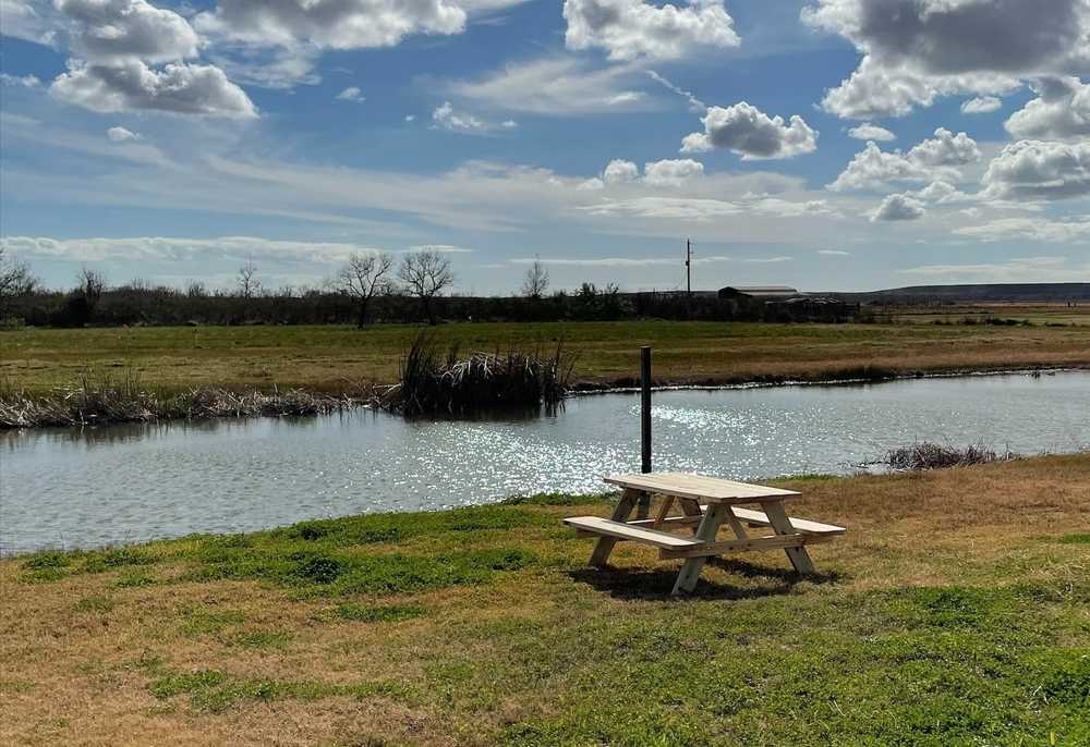 Bastrop Bayou RV Park - Photo 4