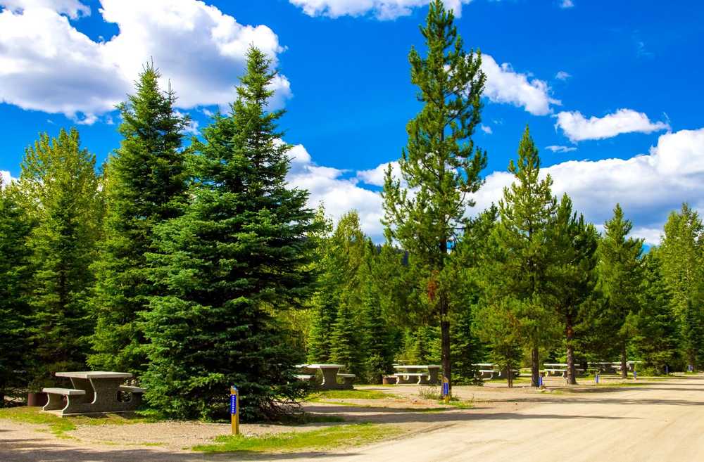 Forest Rose Campground, Barkerville, British Columbia - Main Photo