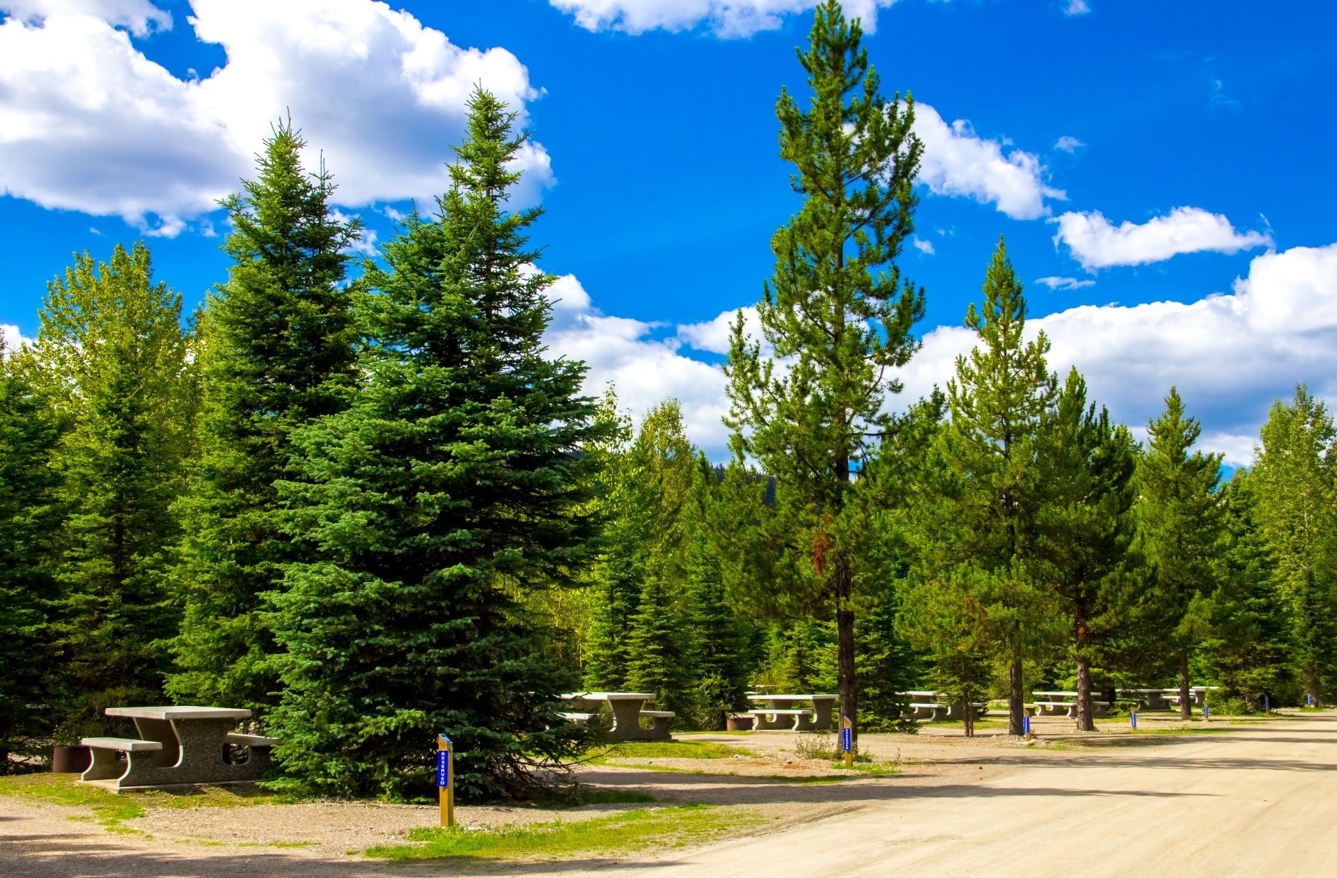 Forest Rose Campground, Barkerville, British Columbia