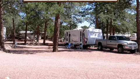 Premium Pull-Through RV Site — image 2 of 7