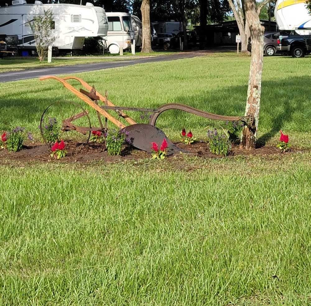 Magnolia Trace RV Park, Zephyrhills, Florida - Photo 4