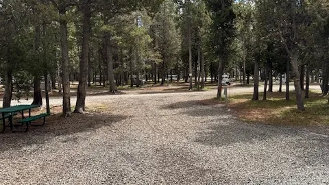 Premium Pull-Through RV Site (S,M,L) — image 1 of 1