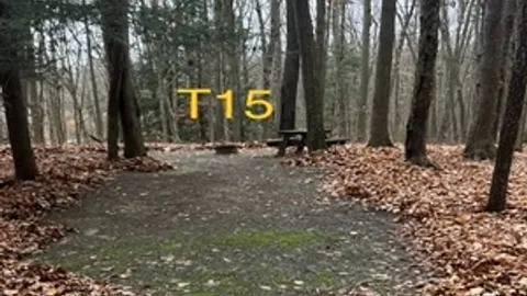 Tent — image 16 of 16