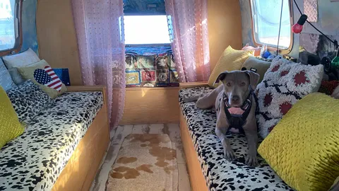 Airstream — image 2 of 11