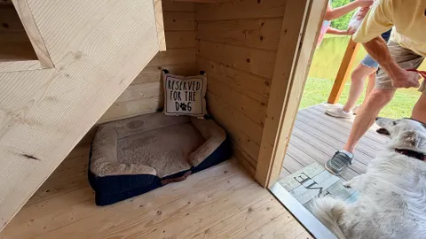 Loon's Nest Lake Front Cabin — image 2 of 7
