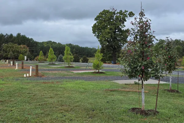Bison Trail RV Park – photo 1