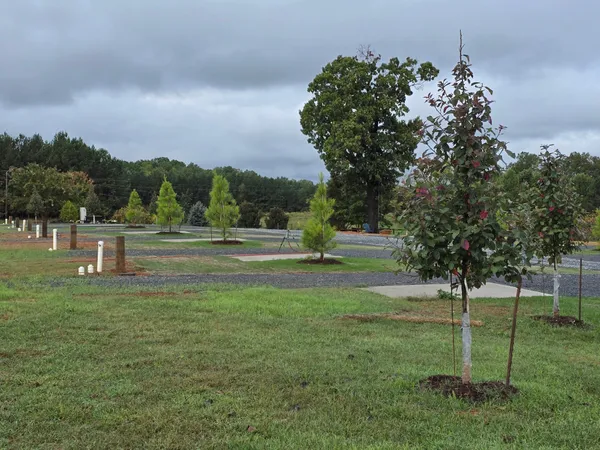 Bison Trail RV Park, Madison, North Carolina campground