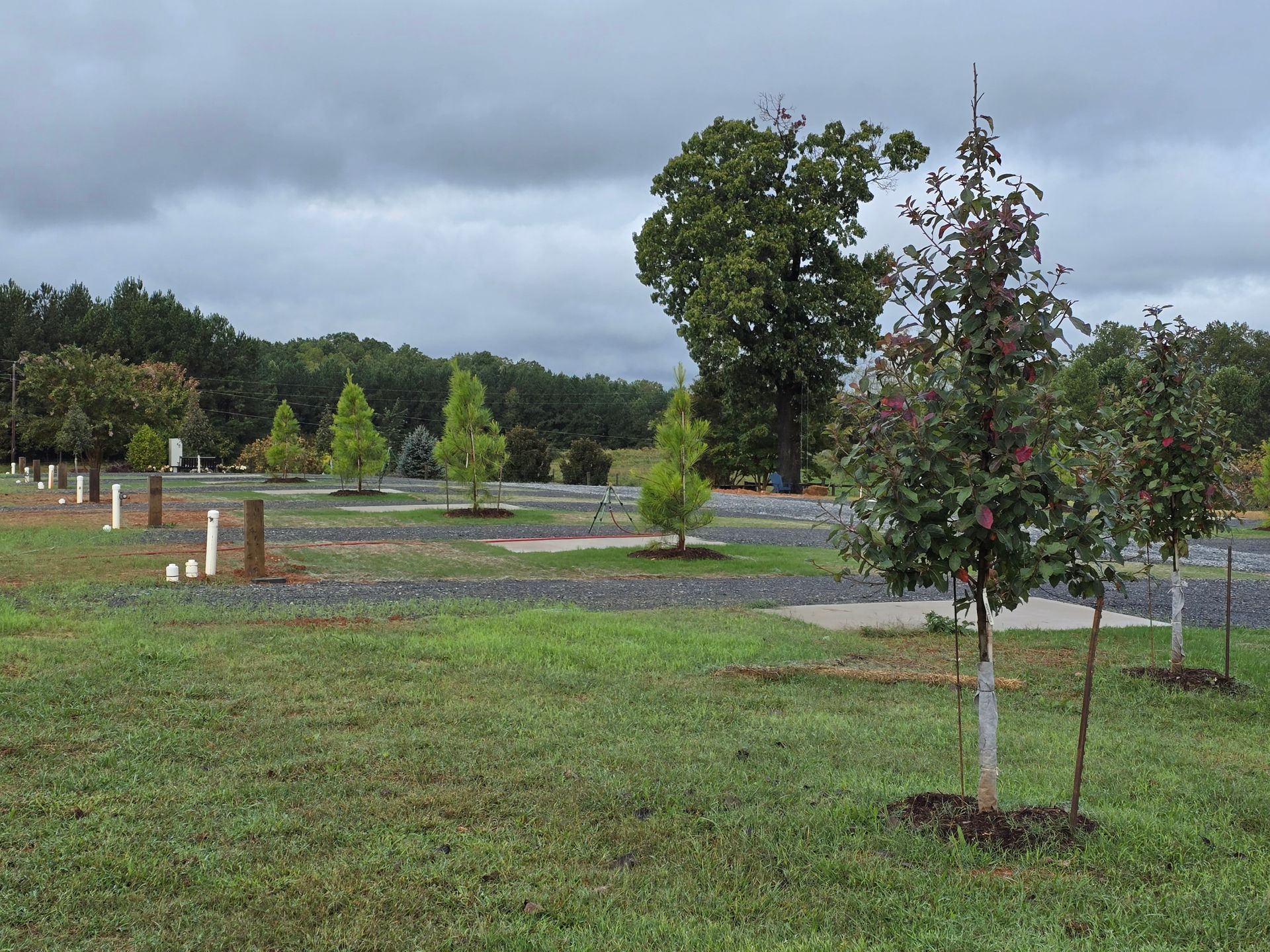 Bison Trail RV Park, Madison, North Carolina