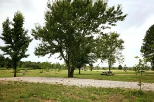Miles Landing Campground – photo 3
