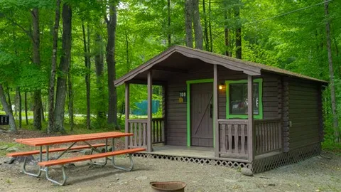 Rustic Cabin, 2 Room — image 2 of 8