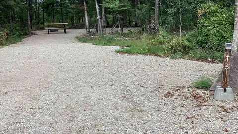Primitive Tent Site — image 2 of 3