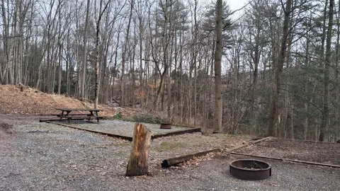 Primitive Tent Site — image 2 of 2