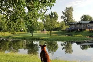 Adventure Bound Beaver Trails – photo 2