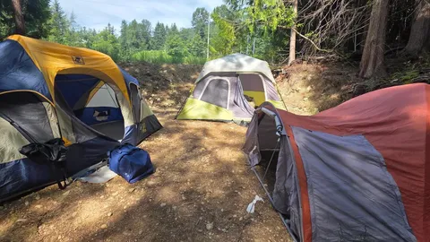 Forest Group Tent Site — image 6 of 6