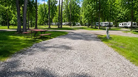 Water & Electric Pull-Through RV Site — Easy Access with Patio & 30/50 Amp — image 1 of 5