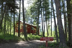 Mountain Meadow RV Park & Cabins – photo 2