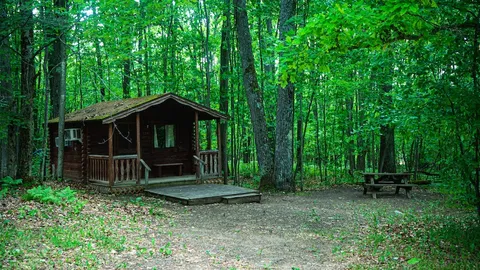 2 Room Rustic Cabin — image 1 of 3