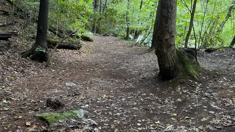 Lovers Lane — image 15 of 15