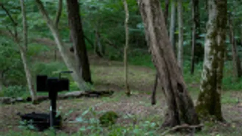 Primitive Tent Site — image 2 of 2