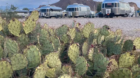 Standard RV Site (Full-Hookups) — image 5 of 5