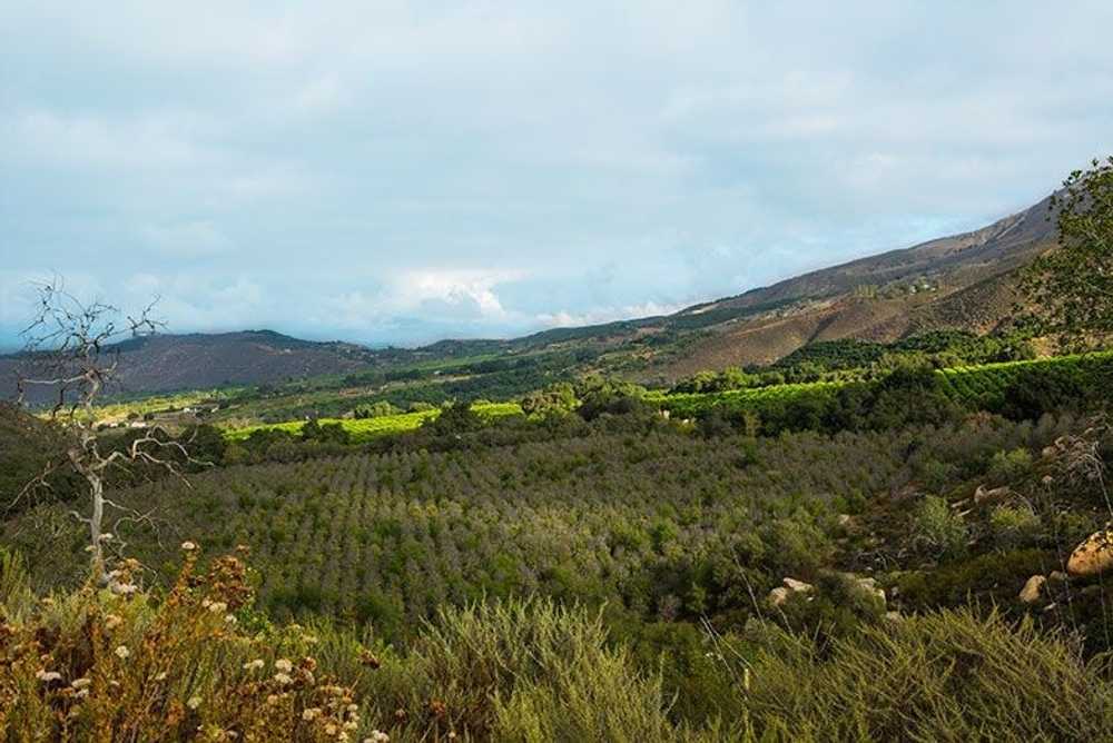 Rancho Corrido Mobile Home and RV Park, Pauma Valley, California - Photo 3