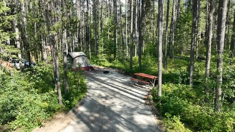 Primitive Tent Site — image 1 of 4