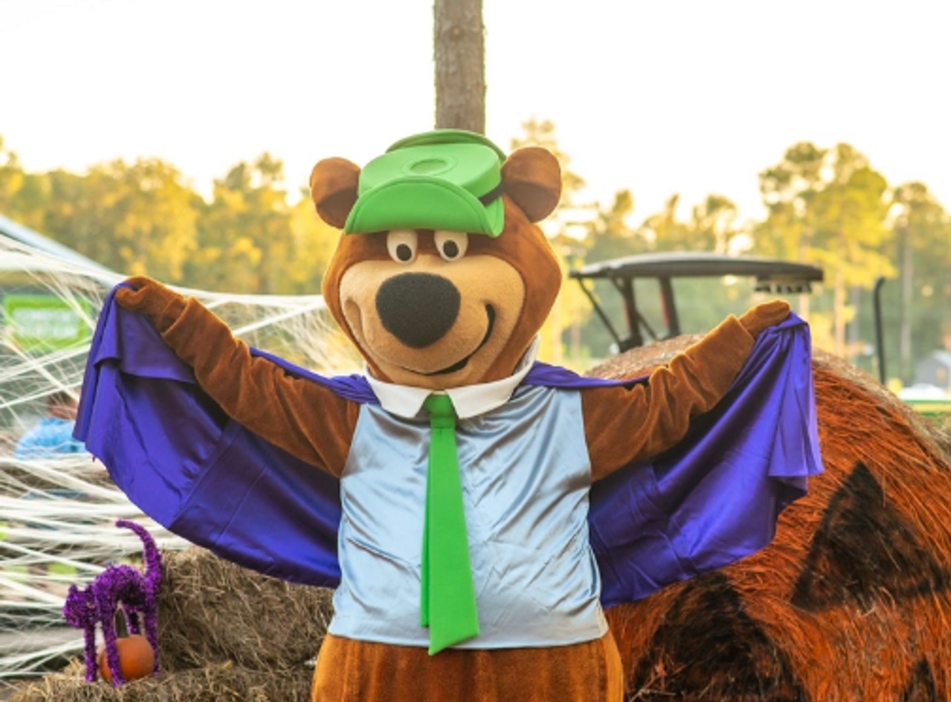 Yogi Bear's Jellystone Park™ Camp-Resort: Tyler