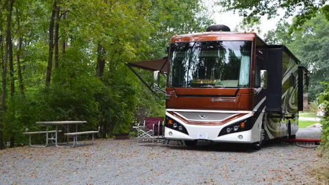 Premium Pull-Thru RV Site — image 2 of 5