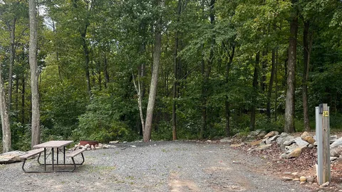 Classic Back-In/Tent RV Site — image 2 of 4