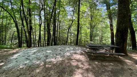 Park-At Tent Site — image 1 of 8
