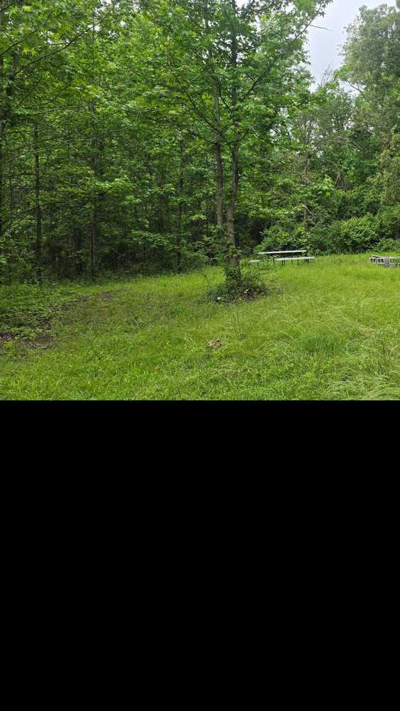 Park Image 16