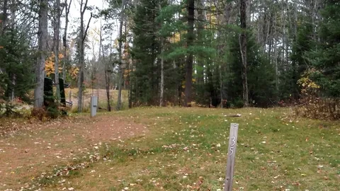 Electric Site — image 1 of 1