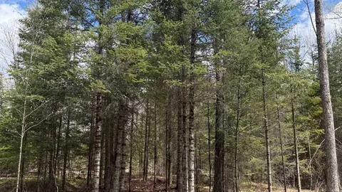 Electric Site — image 2 of 11