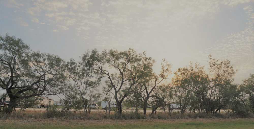 Water Valley RV Park Water Valley, Texas Campspot