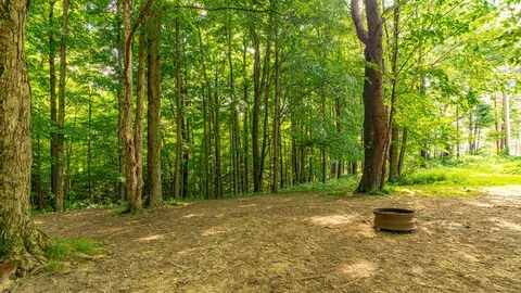 Tent Site — image 3 of 3